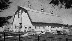 Barn Drawing commission